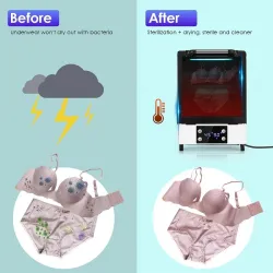 Sterilisator med ozon konstant-temperatur - UV-funktion - 99% bakteriell desinfektion - 12L