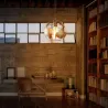 Modern iron ceiling lamp - globe-shaped - 60WCeiling lights
