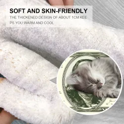 Tapis moderne - tapis antidérapant - 100 Dollar