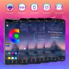 Fyrverkeri - LED-stripe - Bluetooth - WiFi - LED - appkontroll - musikk / lydsynkronisering