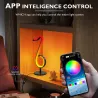 Veilleuse LED - Bluetooth - contrôle par application - rotation à 180° - RVB - forme de note de musique
