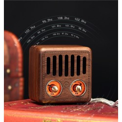 Altoparlante in legno retrò - radio FM digitale - Bluetooth