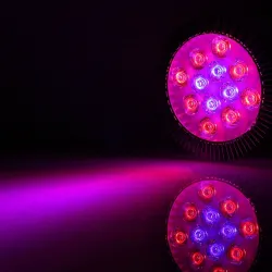 LED plantedyrkningslampe - hydroponisk lys - E27 - 6W - 15W - 21W - 27W - 36W - 45W - 54W