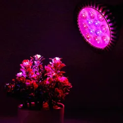 LED plantedyrkningslampe - hydroponisk lys - E27 - 6W - 15W - 21W - 27W - 36W - 45W - 54W