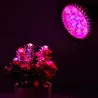LED plantedyrkningslampe - hydroponisk lys - E27 - 6W - 15W - 21W - 27W - 36W - 45W - 54W