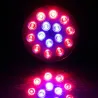 LED plantedyrkningslampe - hydroponisk lys - E27 - 6W - 15W - 21W - 27W - 36W - 45W - 54W