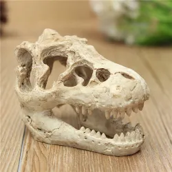 Akvarie dekorasjon - krokodille hodeskalle