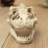 Akvarie dekorasjon - krokodille hodeskalle