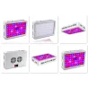 Lampe de culture à LED - LED double puce - panneau - 600W