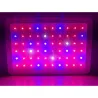 Lampe de culture à LED - LED double puce - panneau - 600W