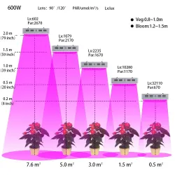 LED plantengroeilamp - dubbele chip LED - paneel - 600WKweeklampen