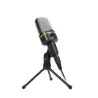 Professional studio condenser microphone - wiredMicrophones