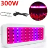 LED plantengroeilamp - volledig spectrum - 300W - 1600WKweeklampen