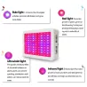 LED plantengroeilamp - volledig spectrum - 300W - 1600WKweeklampen