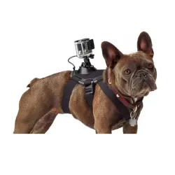 Harnais pour chien - sangle de poitrine - support pour caméras GoPro Hero