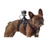 Hundegeschirr - Brustgurt - Halterung für GoPro Hero Kameras