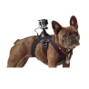 Hundesele - bryststropp - feste for GoPro Hero-kameraer