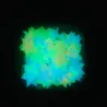 Etoiles phosphorescentes - stickers muraux / plafond - 3cm - 50 pièces