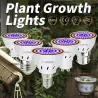 LED bulb - plant grow light - full spectrum - hydroponic - E27 - E14 - GU10 - MR16 - B22 - 220VGrow Lights