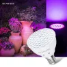 LED-pære - plantevækstlys - fuldt spektrum - hydroponisk - E27 - E14 - GU10 - MR16 - B22 - 220V