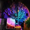 LED nagloeilamp - regenbooglichtprojector - draaibaar - USBVerlichting
