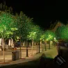 Projektor LED rozgwieżdżonego nieba - obrotowy - wodoodporny IP65Oświetlenie sceniczne i eventowe