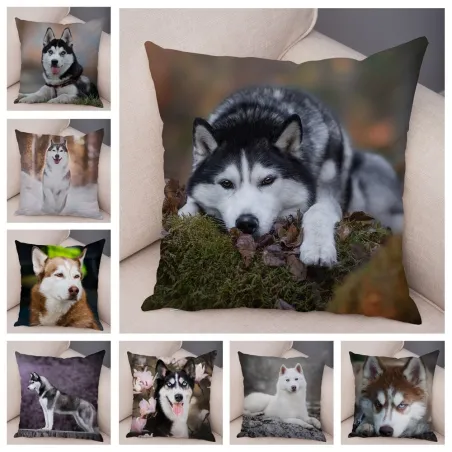 Fodera per cuscino decorativo - Cane husky siberiano - 45 * 45 cm