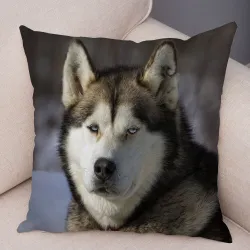 Dekorativt kuddfodral - Siberian husky dog - 45 * 45 cm
