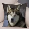 Housse de coussin déco - Chien husky sibérien - 45*45 cm