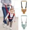 Trotteur bébé - avec gilet - harnais avec laisse de sécurité