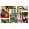 Hagesaks - skarp sekatør - trimming av planter / greiner