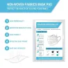 Replaceable face mask filter - filter padMouth masks