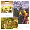 LED-lamp - groeilicht voor planten - volledig spectrum - hydrocultuur - E27 - 100W - 150W - 300WKweeklampen