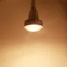 Żarówka LED - oświetlenie do uprawy roślin - pełne spektrum - hydroponiczna - E27 - 100W - 150W - 300WLampa Wzrostu