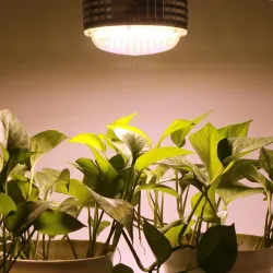 LED-lamppu - kasvien kasvuvalo - täysi spektri - hydroponinen - E27 - 100W - 150W - 300W
