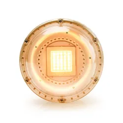 Lâmpada LED - luz de crescimento de plantas - espectro completo - hidropônico - E27 - 100W - 150W - 300W