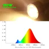 LED-pære - plantevækstlys - fuldt spektrum - hydroponisk - E27 - 100W - 150W - 300W