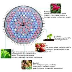 LED-lamp - groeilicht voor planten - volledig spectrum - hydrocultuur - E27 - 10W - 30W - 50W - 80WKweeklampen