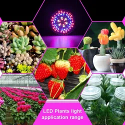 Luces de cultivoBombilla LED - luz de crecimiento de plantas - espectro completo - hidropónico - E27 - 10W - 30W - 50W - 80W