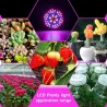 LED-pære - plantevækstlys - fuldt spektrum - hydroponisk - E27 - 10W - 30W - 50W - 80W