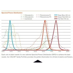 LED-pære - plantevekstlys - fullt spekter - hydroponisk - E27 - 10W - 30W - 50W - 80W