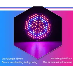 Lâmpada LED - luz de crescimento de plantas - espectro completo - hidropônico - E27 - 10W - 30W - 50W - 80W