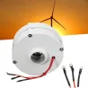 Motor für Windturbinengenerator - 12V / 24V - 6000W