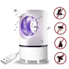 Lampa przeciw komarom - ultrafiolet - USB - LEDOwady