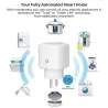 16A - WiFi - Älykäs pistoke - pistorasia virrankulutusmittarilla - Alexa / Google-assistentti
