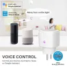16A - WiFi - Smart plug - presa con monitor di energia elettrica - Alexa / Google assistant