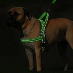 Arnês de nylon reflexivo para cães - colete - ajuste rápido