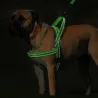Reflective nylon dog harness - vest - quick fitCollars & Leads