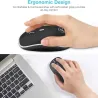 Wireless optical mouse - with USB receiver - ergonomic - silent - 2.4Ghz - 1600 DPIMouses
