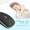 Souris optique sans fil - avec récepteur USB - ergonomique - silencieuse - 2.4Ghz - 1600 DPI